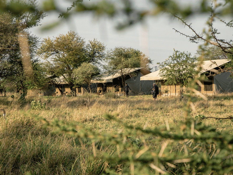 Wildland-Serengeti-Camp-19